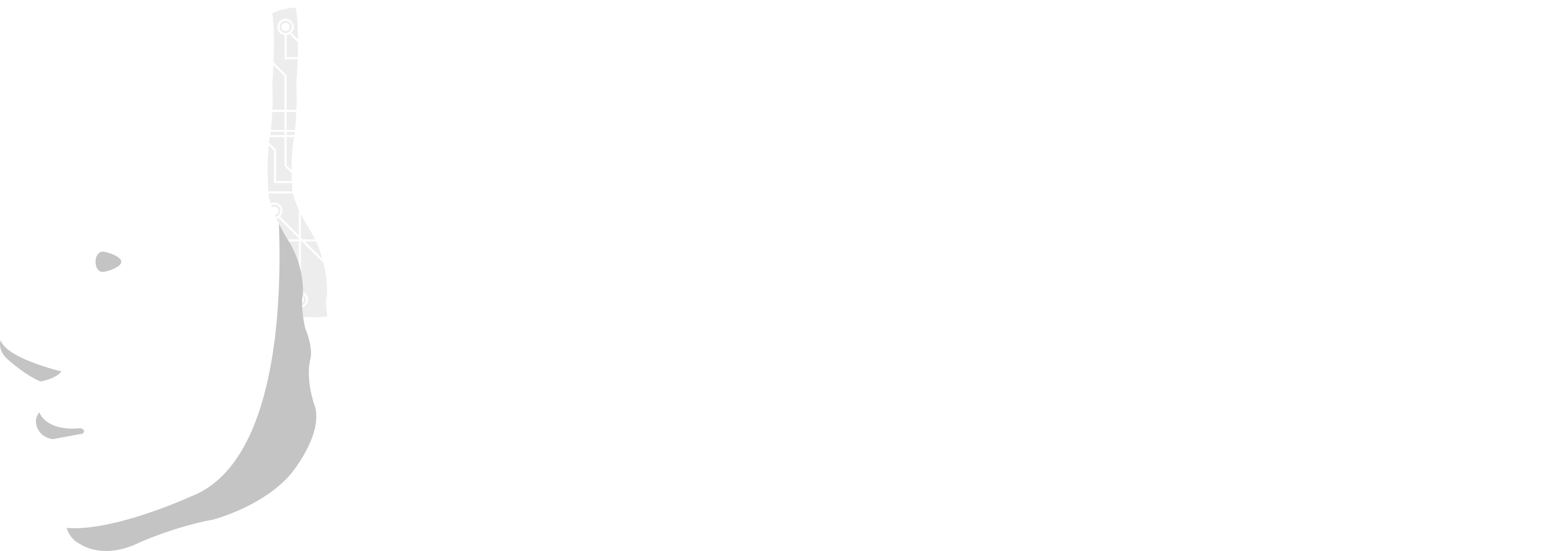 SoyakaAI